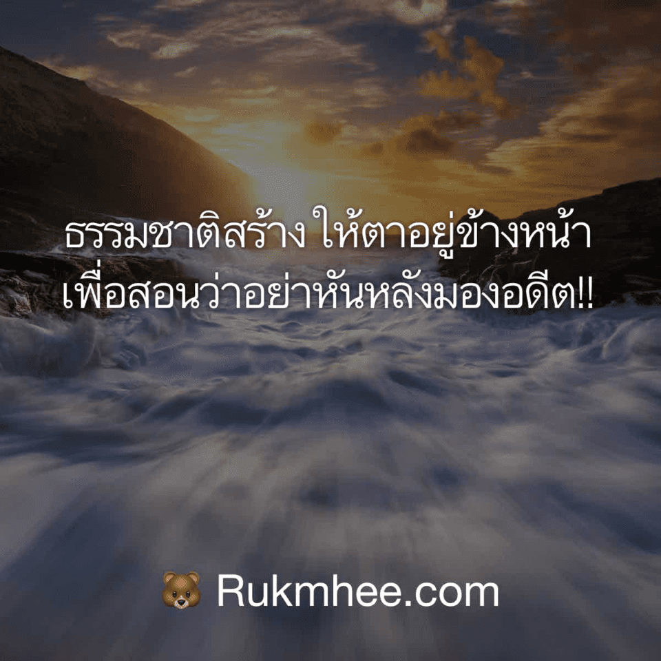 คำคม ธรรมชาติสร้างให้ตาอยู่ข้างหน้า เพื่อสอนว่าอย่าหันหลังมองอดีต!! –  Rukmhee